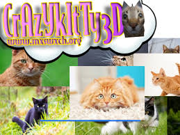 Crazy Kitty 3D img